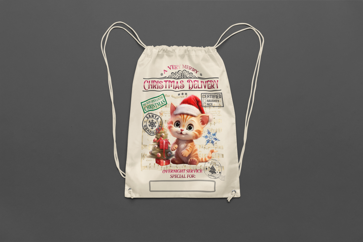 Cat Christmas Santa Bag