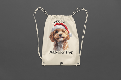 Special Delivery Dog