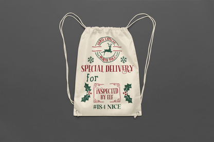 Special Delivery Santa Bag